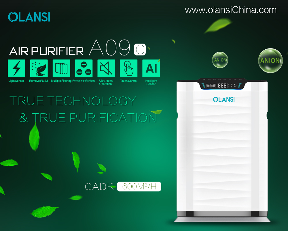 China Olansi Air Purifier Manufacturer (71)